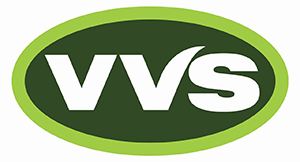 VVS